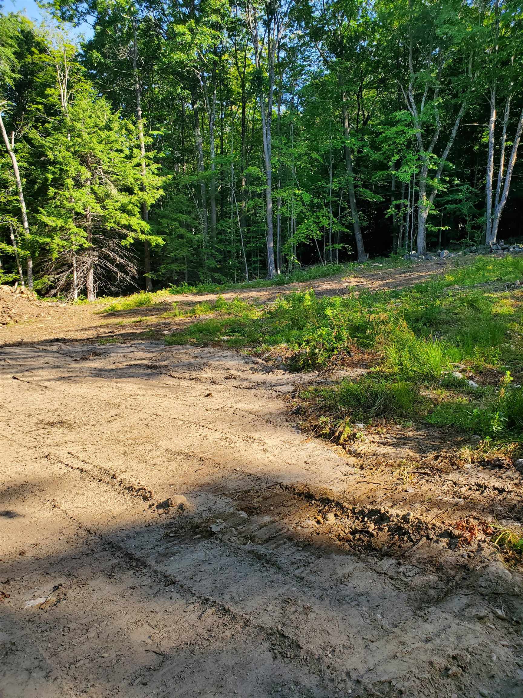 445 Old County Road North Deering, NH 03244 - Photo 3 of 6