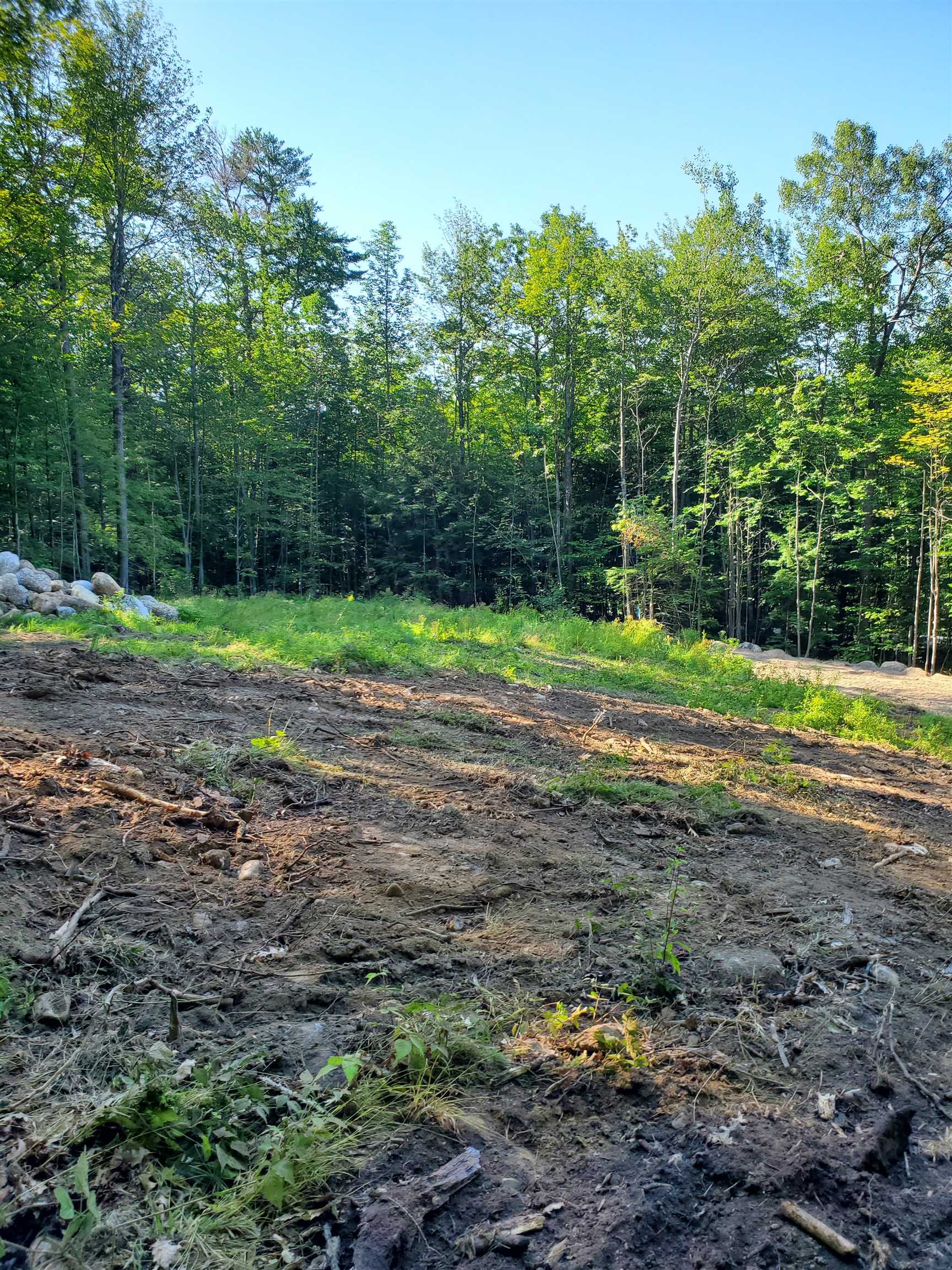 445 Old County Road North Deering, NH 03244 - Photo 4 of 6