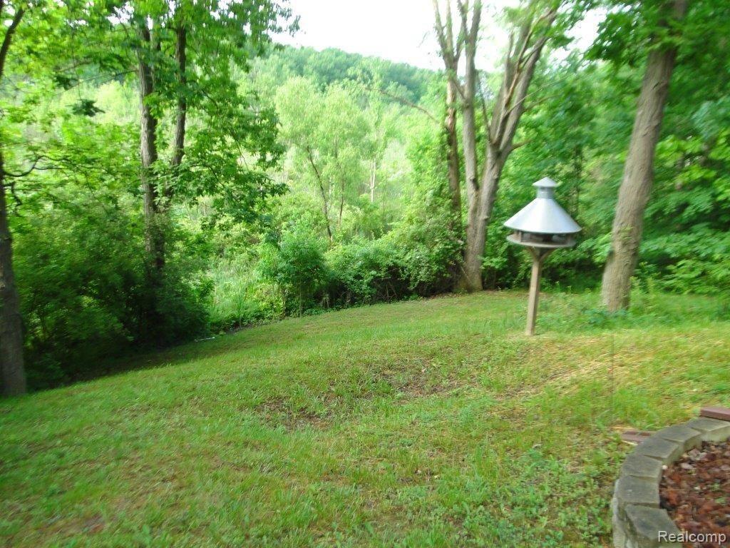 3395 Lippincott Road Lapeer, MI 48446 - Photo 53 of 56 Back Yard