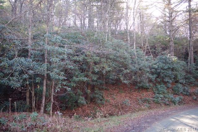 0 Gusher Knob Road Newland, NC 28657 - Photo 1 of 7 Gallery Image 1