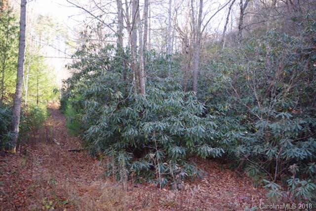 0 Gusher Knob Road Newland, NC 28657 - Photo 2 of 7 Gallery Image 2
