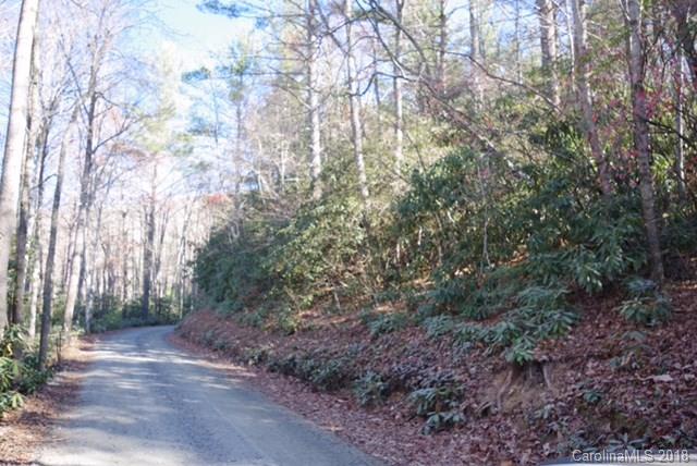 0 Gusher Knob Road Newland, NC 28657 - Photo 4 of 7 Gallery Image 4