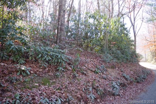 0 Gusher Knob Road Newland, NC 28657 - Photo 5 of 7 Gallery Image 5