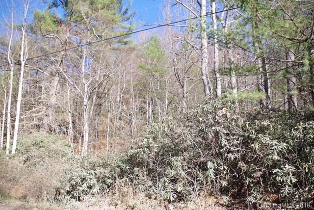 0 Gusher Knob Road Newland, NC 28657 - Photo 6 of 7 Gallery Image 6