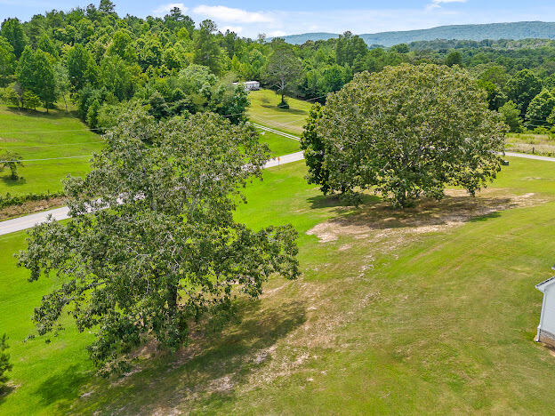 915 Pickett Road Sale Creek, TN 37373 - Photo 14 of 78 IMG_2172