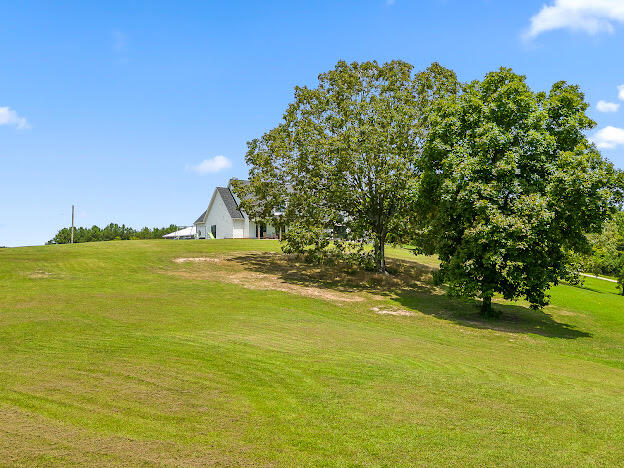 915 Pickett Road Sale Creek, TN 37373 - Photo 6 of 78 IMG_2165