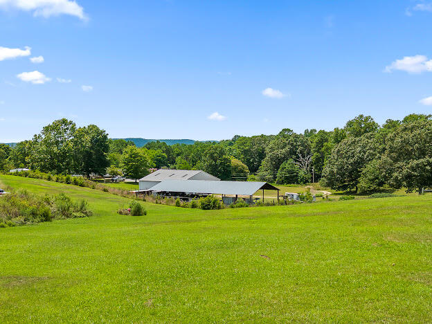 915 Pickett Road Sale Creek, TN 37373 - Photo 10 of 78 IMG_2168