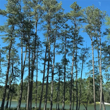 $1,850 | 6274 Alder Crk Drive, Montgomery, TX 77316