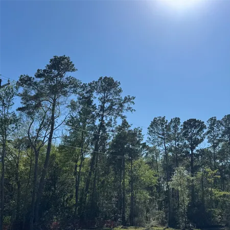 $1,850 | 6274 Alder Crk Drive, Montgomery, TX 77316