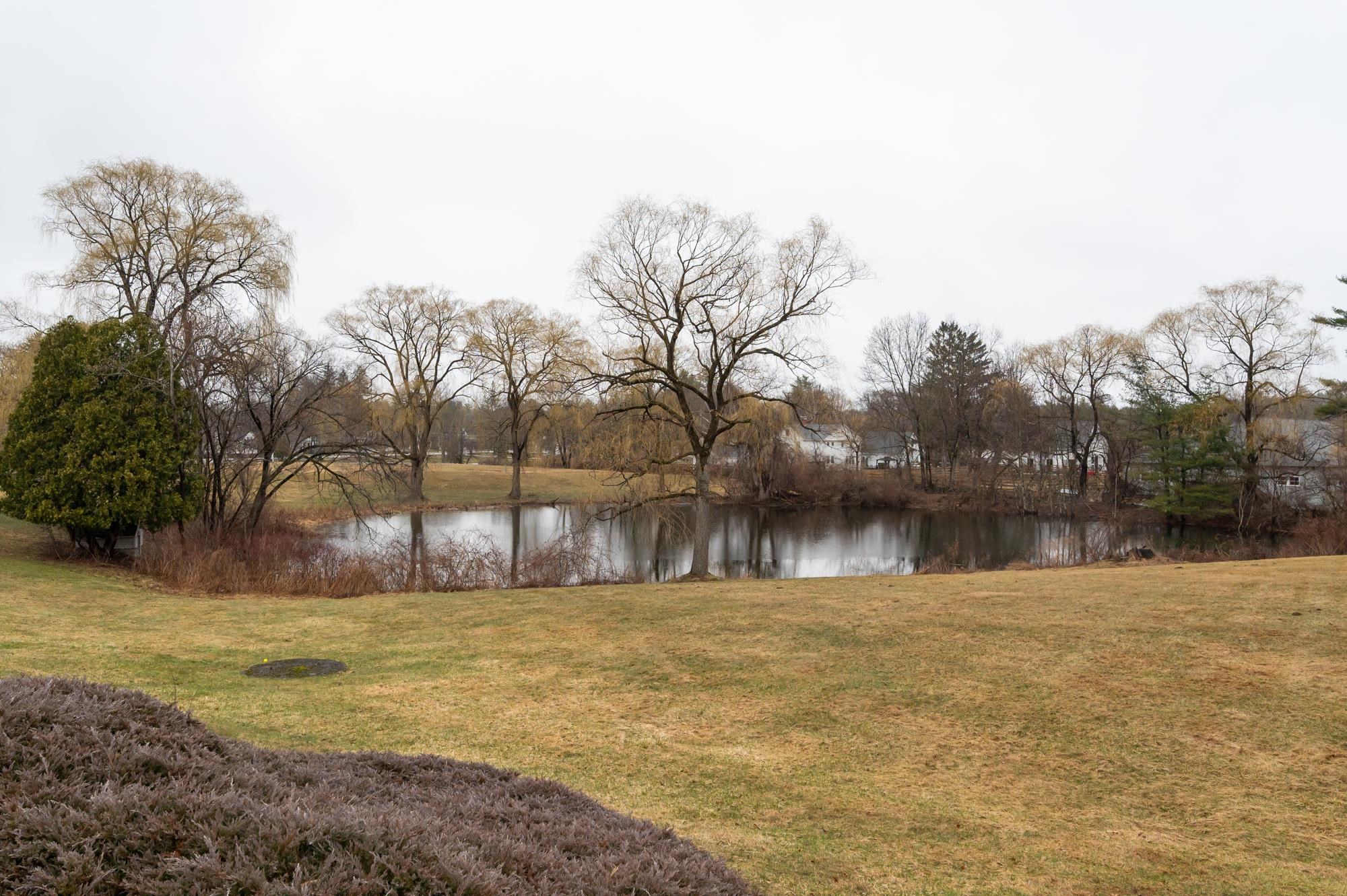 135 Amherst Street, Unit 26 Amherst, NH 03031 - Photo 42 of 50