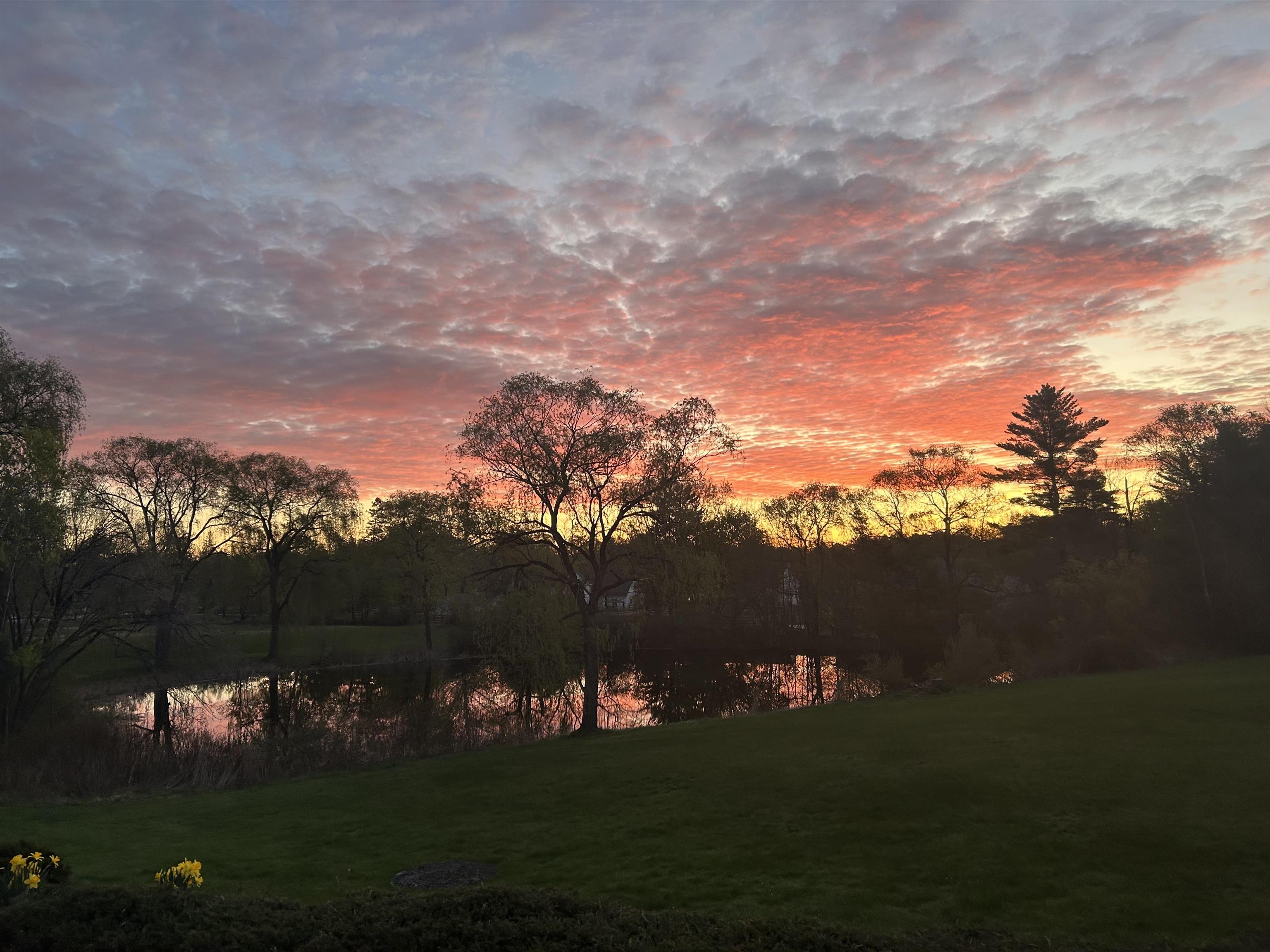 135 Amherst Street, Unit 26 Amherst, NH 03031 - Photo 44 of 50