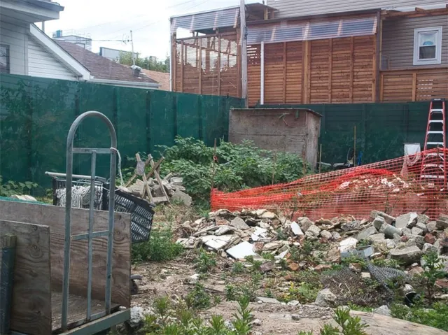 a view of a backyard with plants