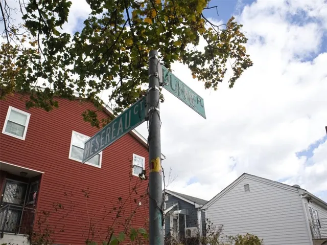 a view of a house with a tree