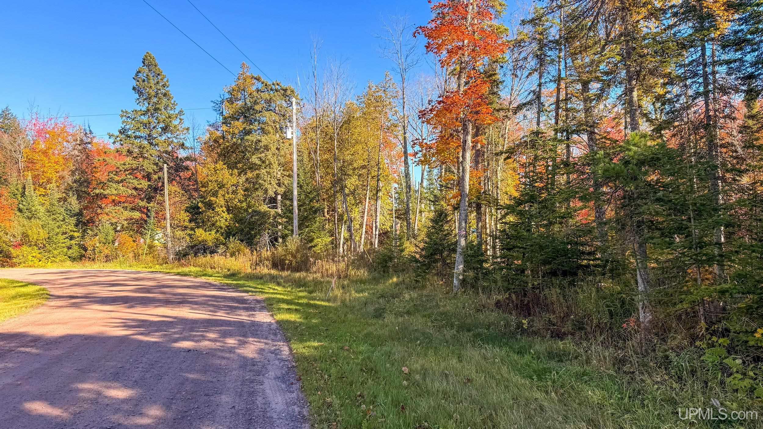 Tbd A Payne Road Pelkie, MI 49908 - Photo 21 of 46 Gallery Image 21