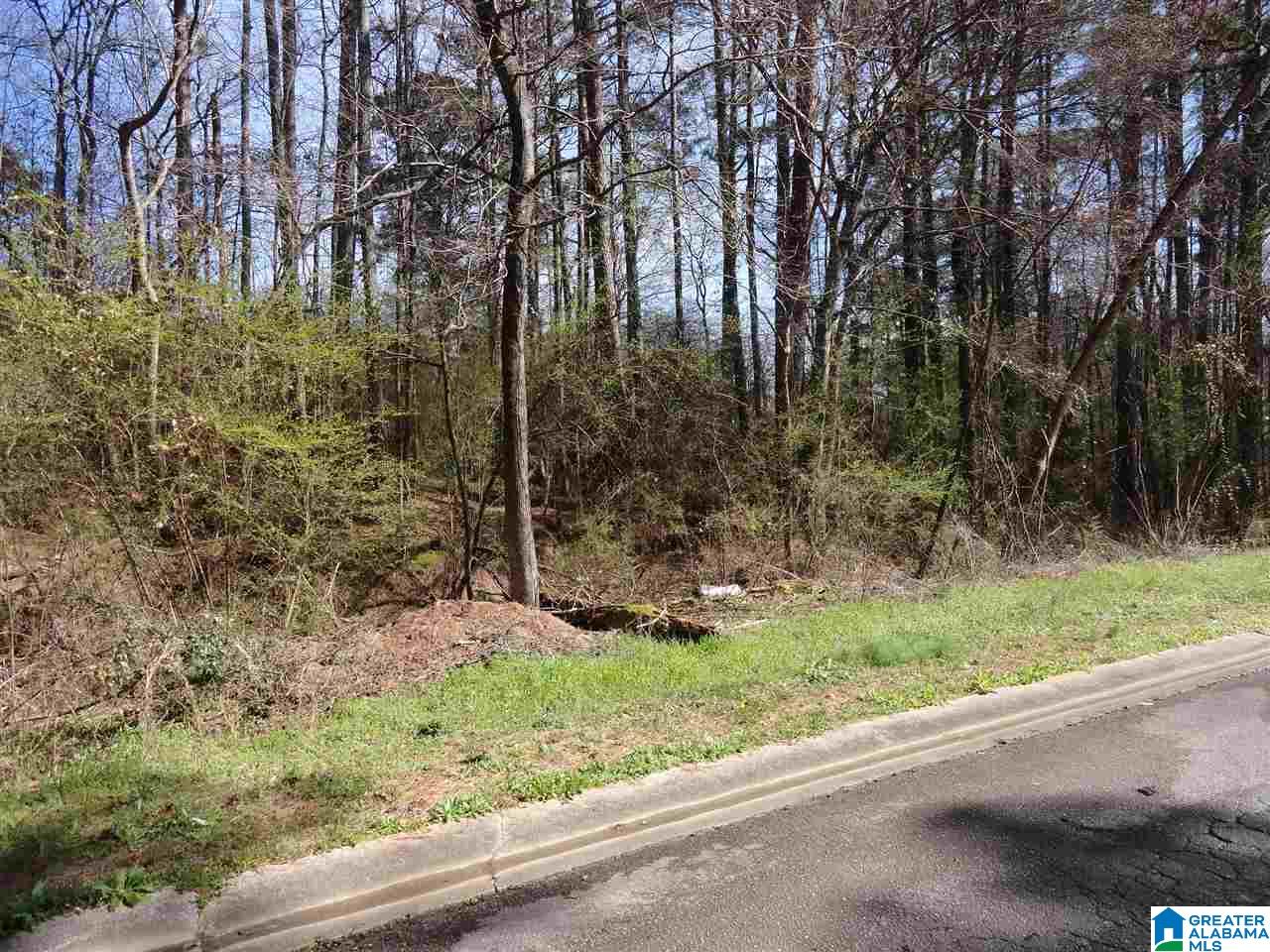 5007 Issac Lane, Unit 32 Adamsville, AL 35005 - Photo 1 of 1