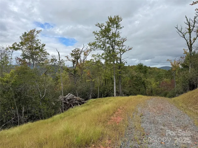 a view of a backyard of the house