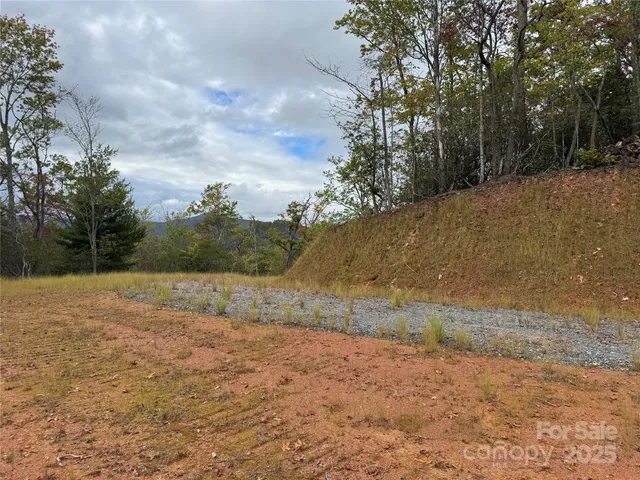 a view of dirt field with large trees
