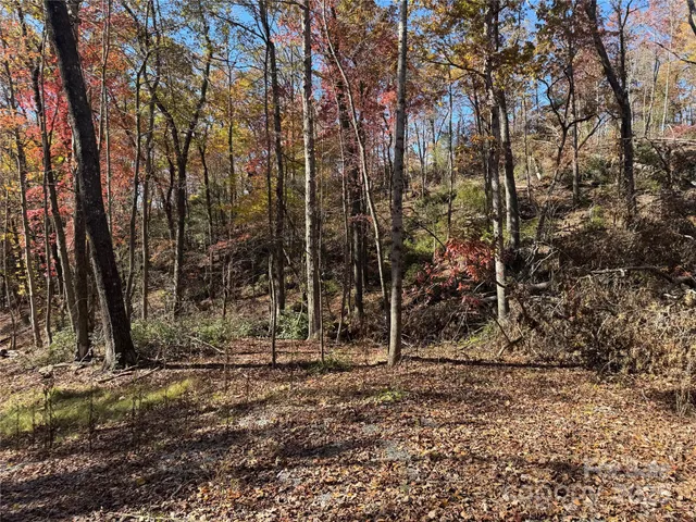 a view of house with trees