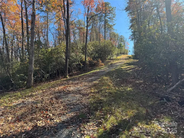 a view of backyard with green space