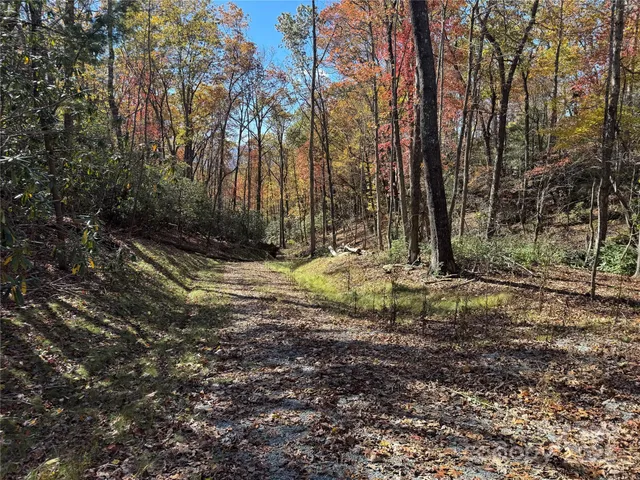 a view of outdoor space with trees