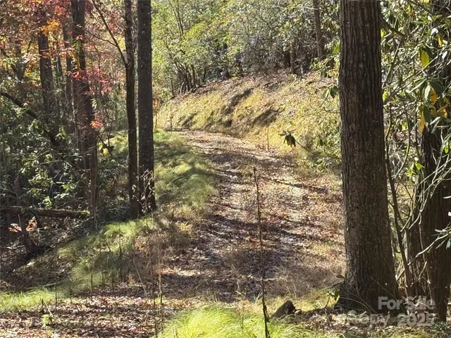 a view of a yard with wooden fence