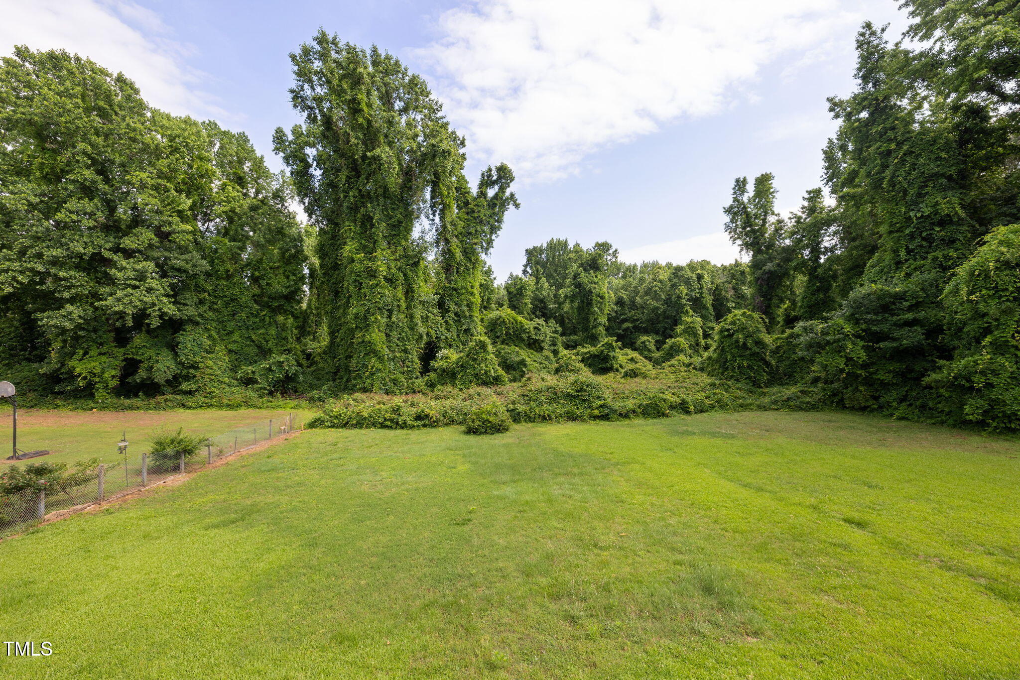 2315 Oxford Road Henderson, NC 27536 - Photo 53 of 62 a view of a yard with a tree