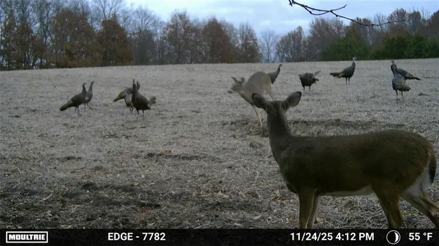 $950,000 | 6 Highway Winston Mo 64689, Winston, MO 64689