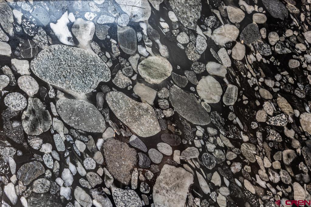 448 Hermosa View Drive Durango, CO 81301 - Photo 18 of 42 a picture of a tree