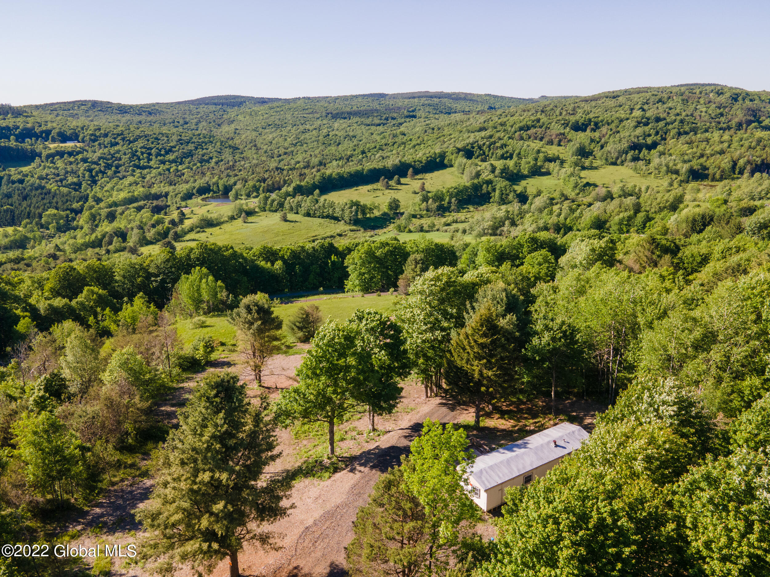 157 Mountain Point Drive Summit, NY 12175 - Photo 2 of 35 157MountainPointRd-7