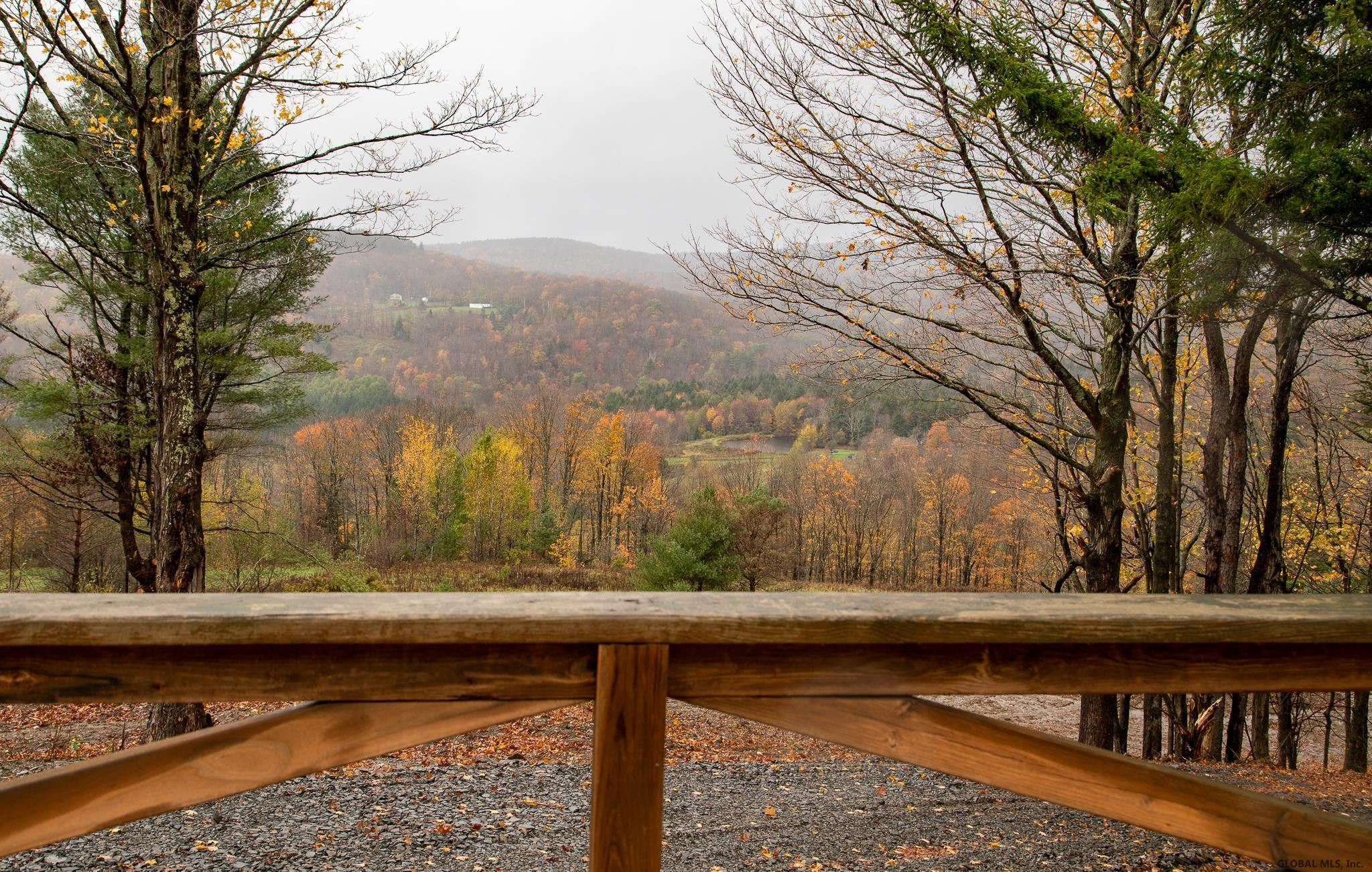 157 Mountain Point Drive Summit, NY 12175 - Photo 21 of 35 Photo 18