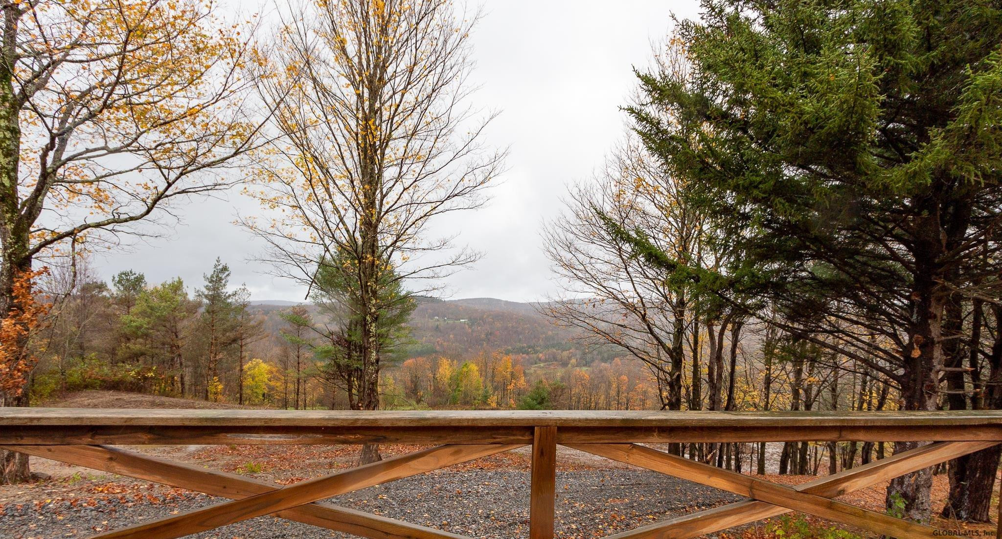 157 Mountain Point Drive Summit, NY 12175 - Photo 22 of 35 Photo 19