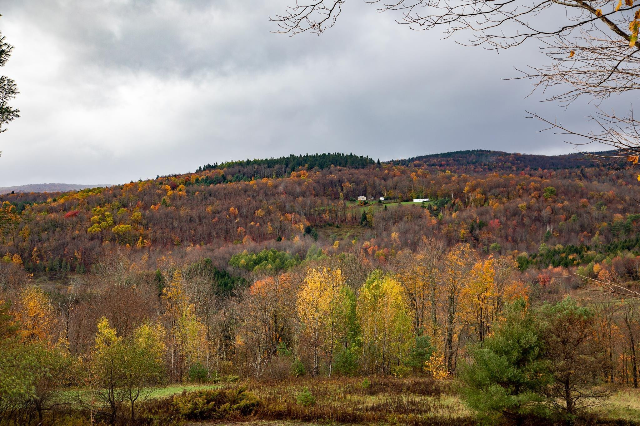 157 Mountain Point Drive Summit, NY 12175 - Photo 24 of 35 Photo 22