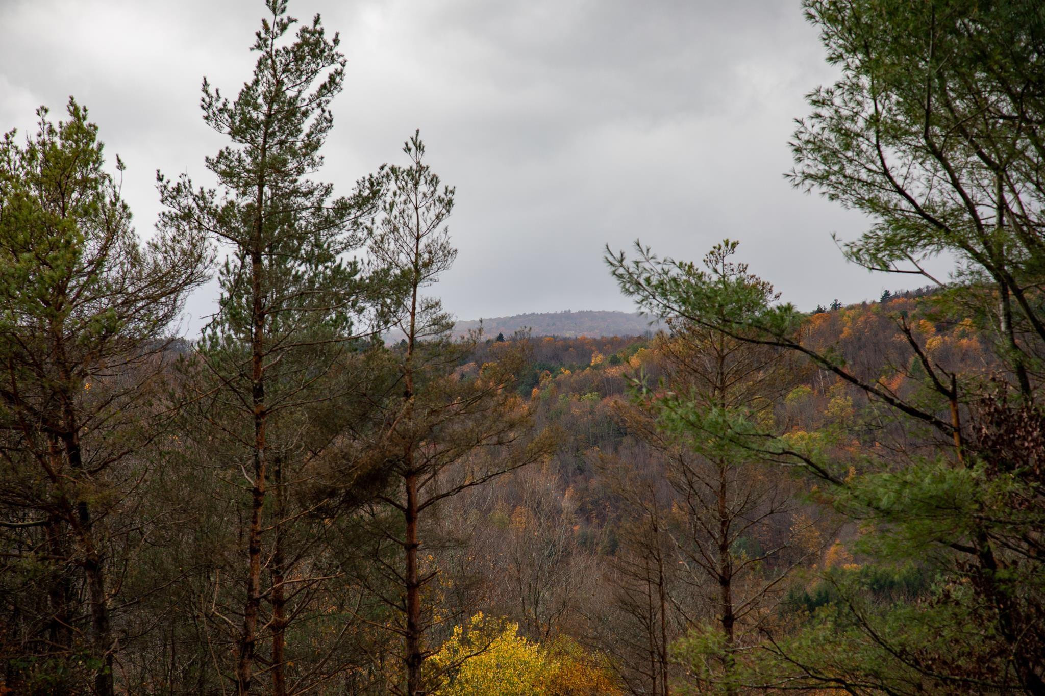 157 Mountain Point Drive Summit, NY 12175 - Photo 25 of 35 Photo 21