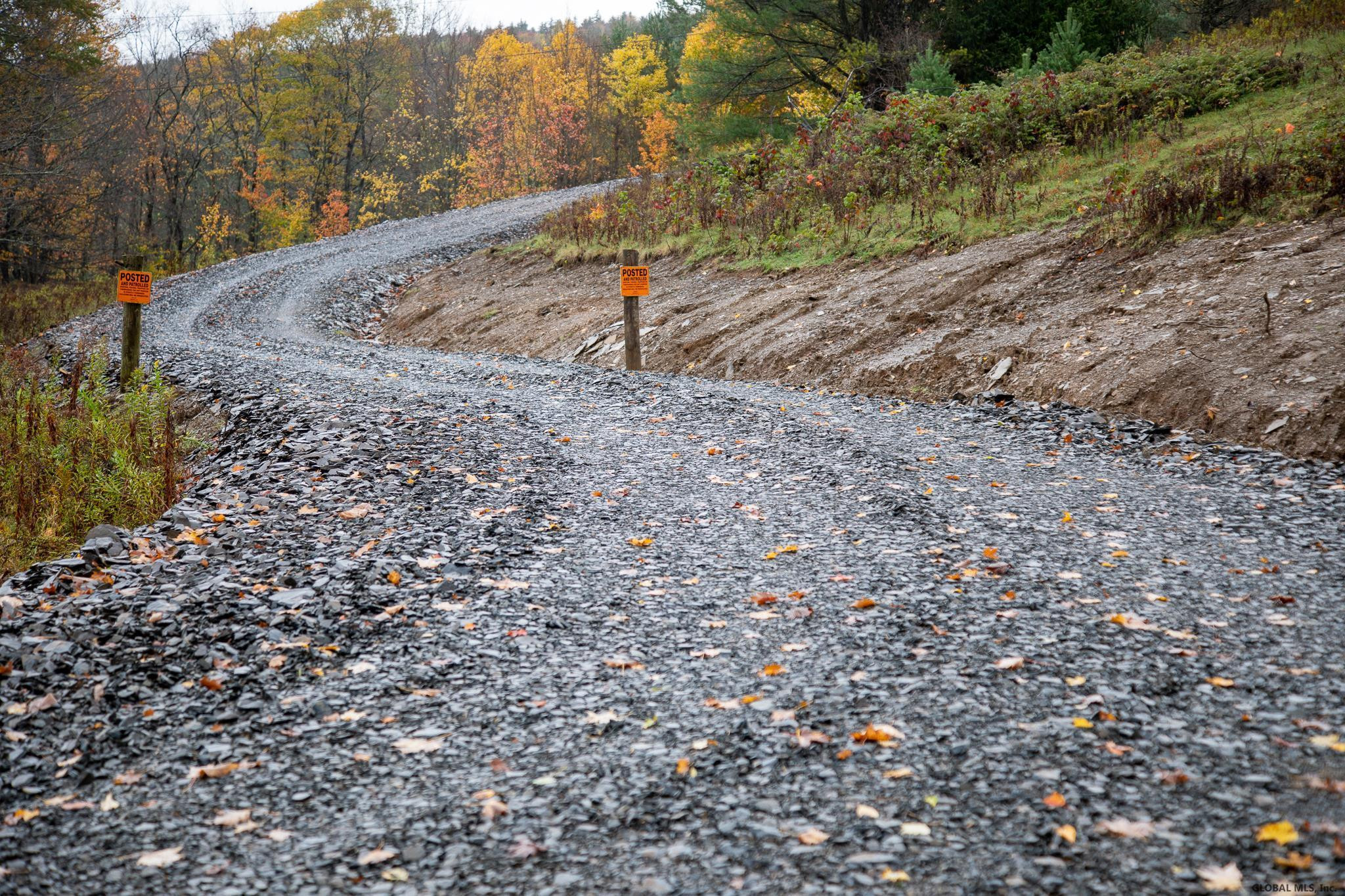 157 Mountain Point Drive Summit, NY 12175 - Photo 27 of 35 Photo 24