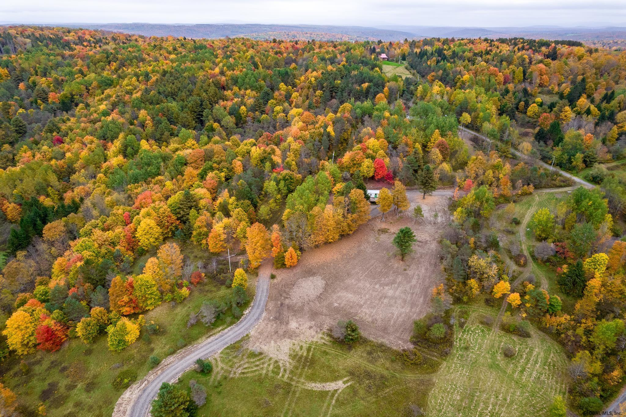 157 Mountain Point Drive Summit, NY 12175 - Photo 31 of 35 Photo 2