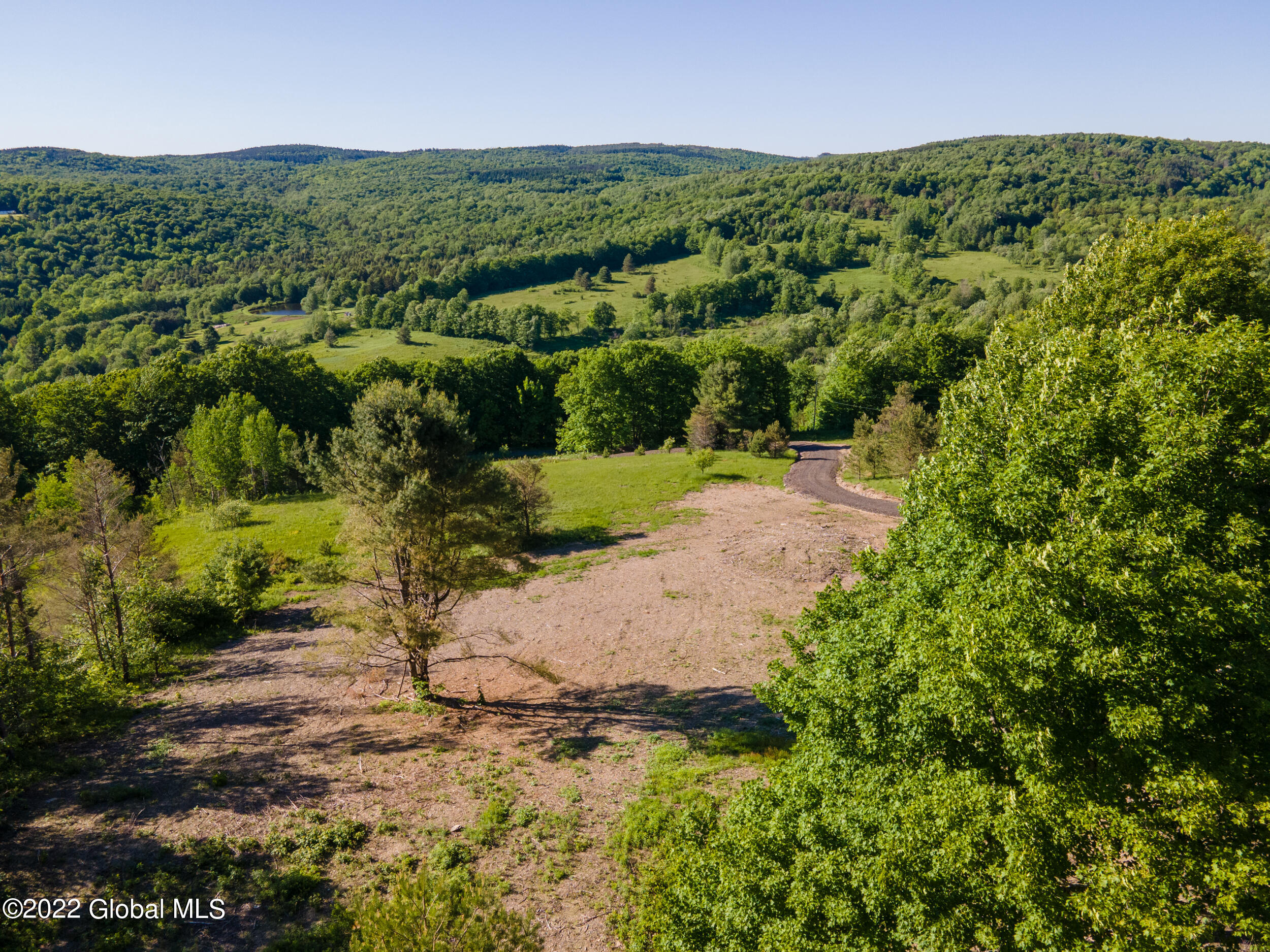 157 Mountain Point Drive Summit, NY 12175 - Photo 4 of 35 157MountainPointRd-6