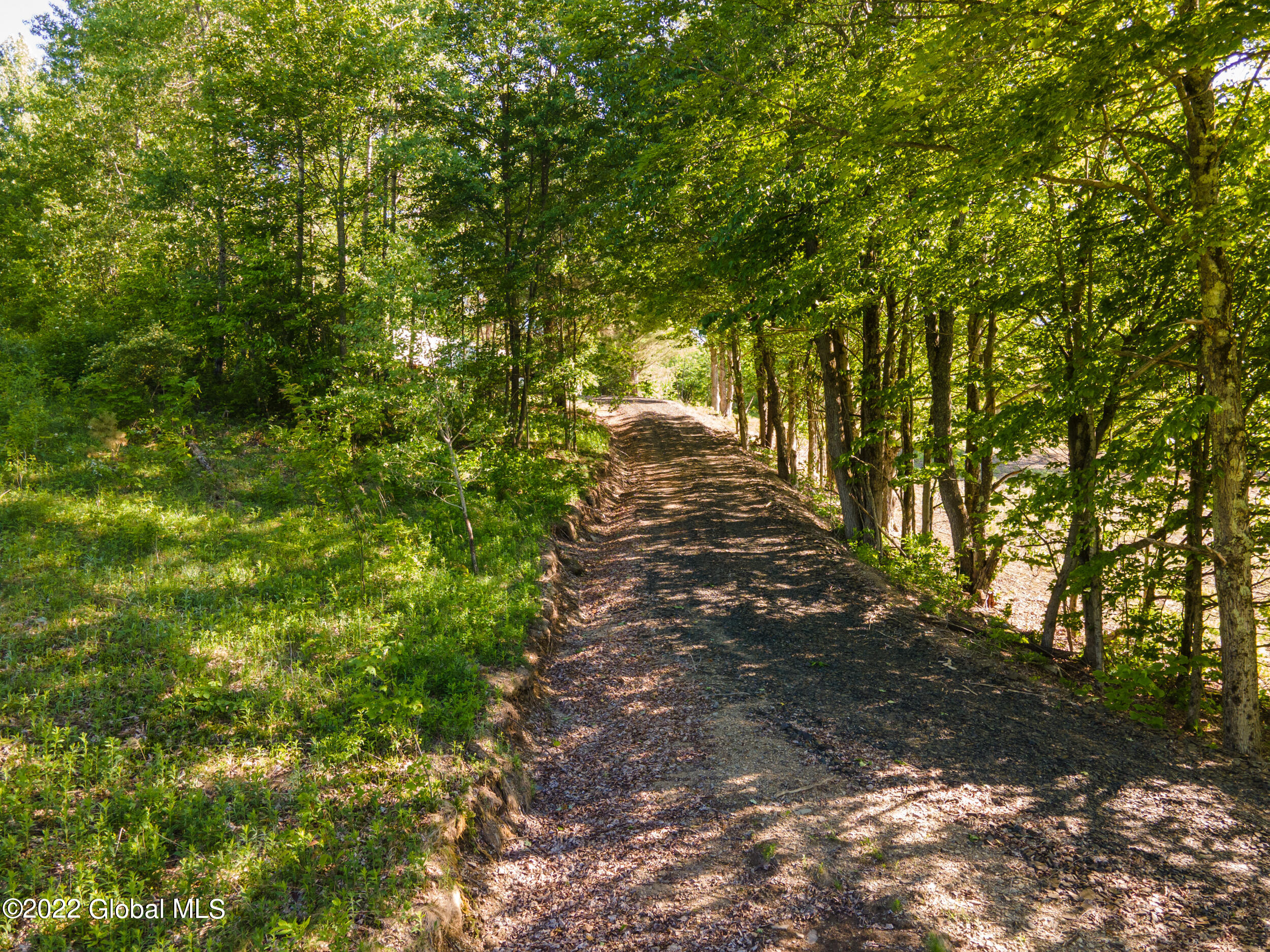 157 Mountain Point Drive Summit, NY 12175 - Photo 7 of 35 157MountainPointRd-3