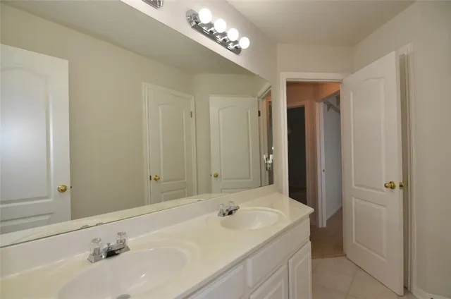 a bathroom with a sink and a large mirror