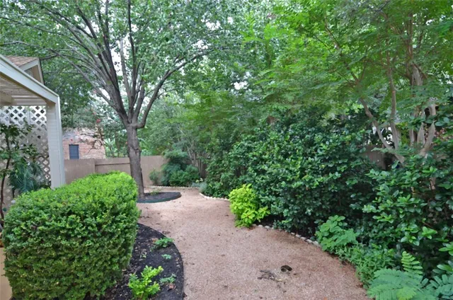 a view of a garden with plants and a large tree