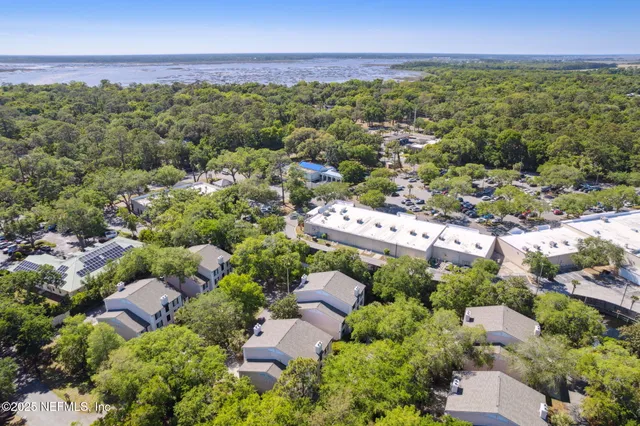 a view of a city and lush green forest
