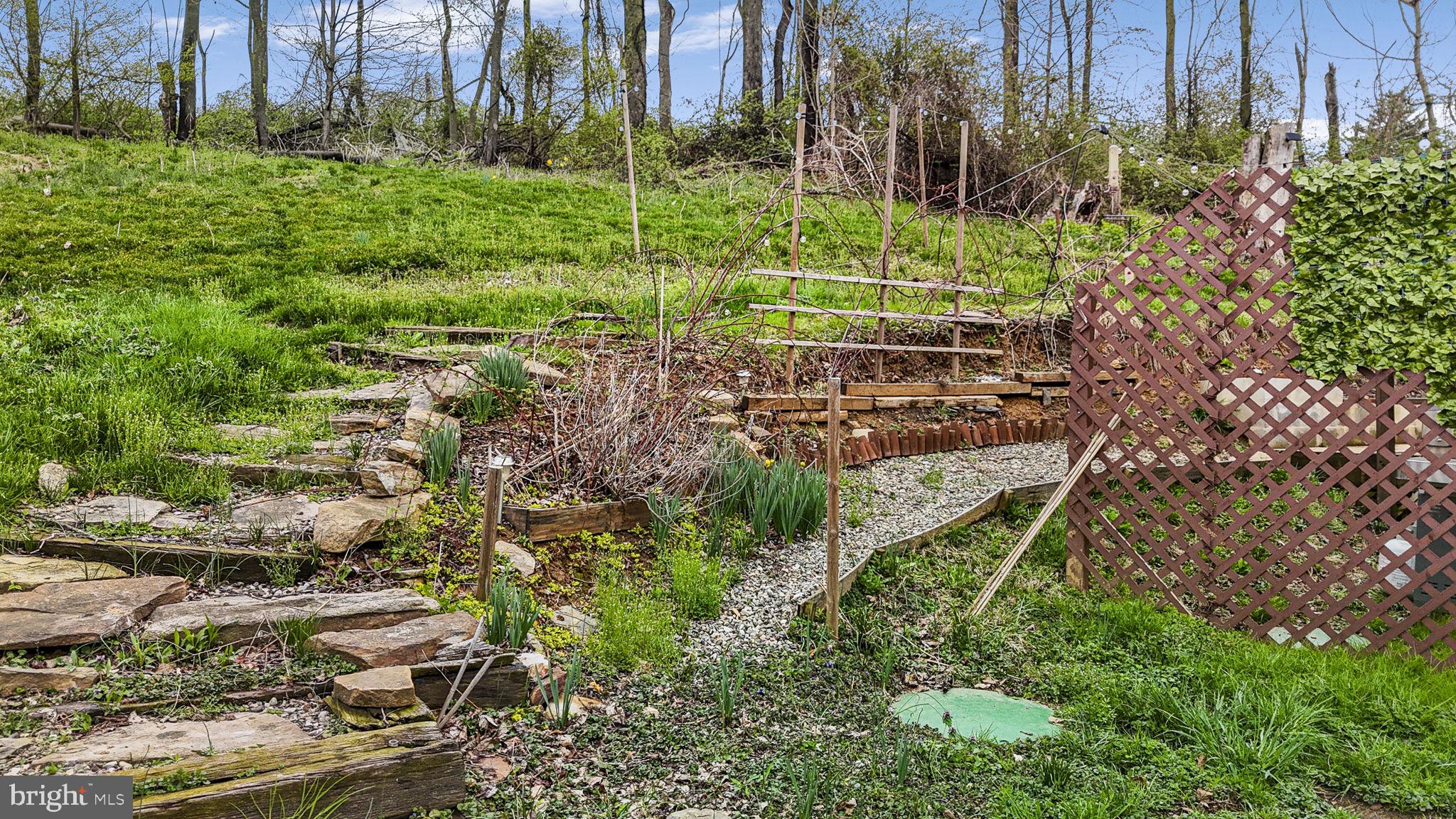 102 Paschall Mill Road West Grove, PA 19390 - Photo 6 of 29 a view of yard with green space