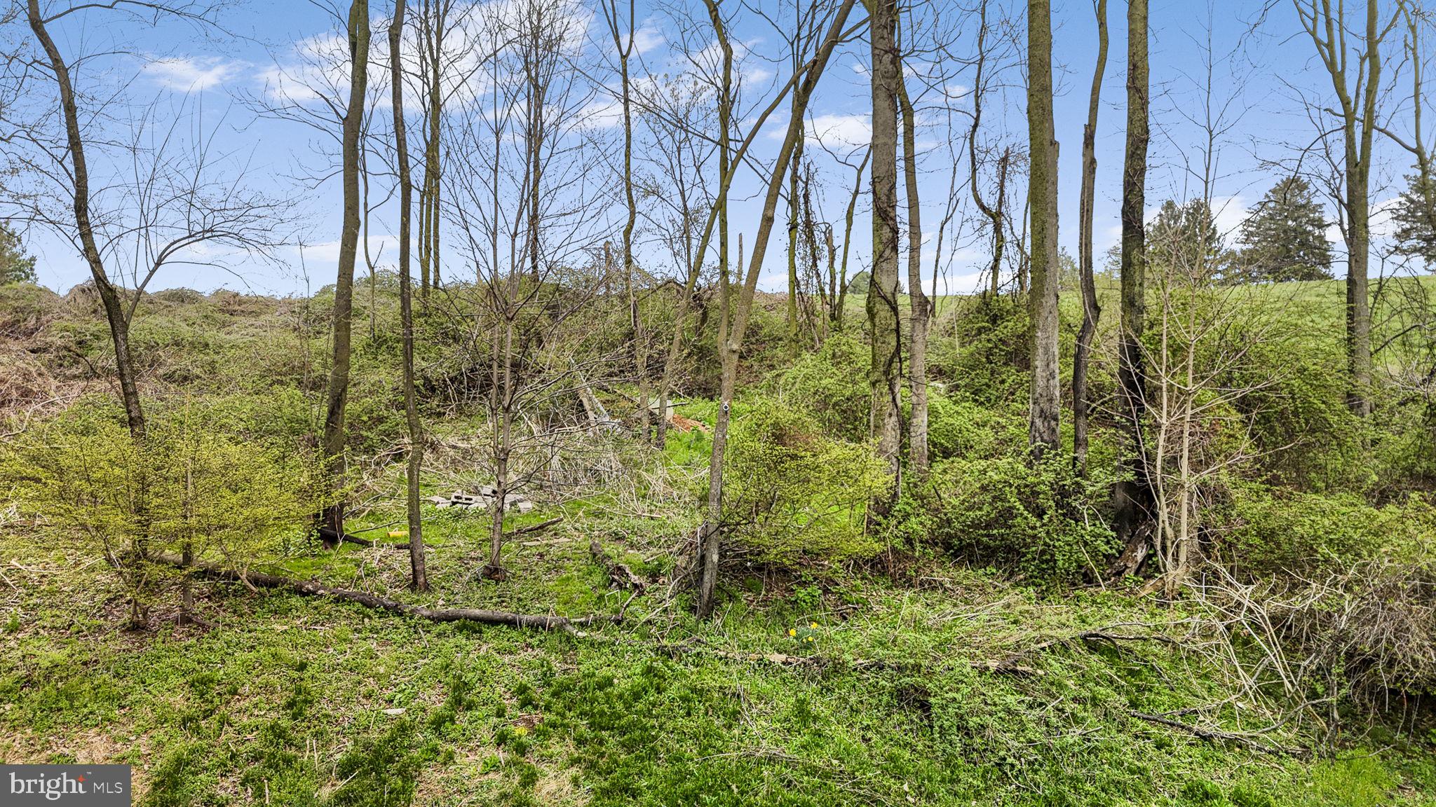 102 Paschall Mill Road West Grove, PA 19390 - Photo 8 of 29 a view of a yard
