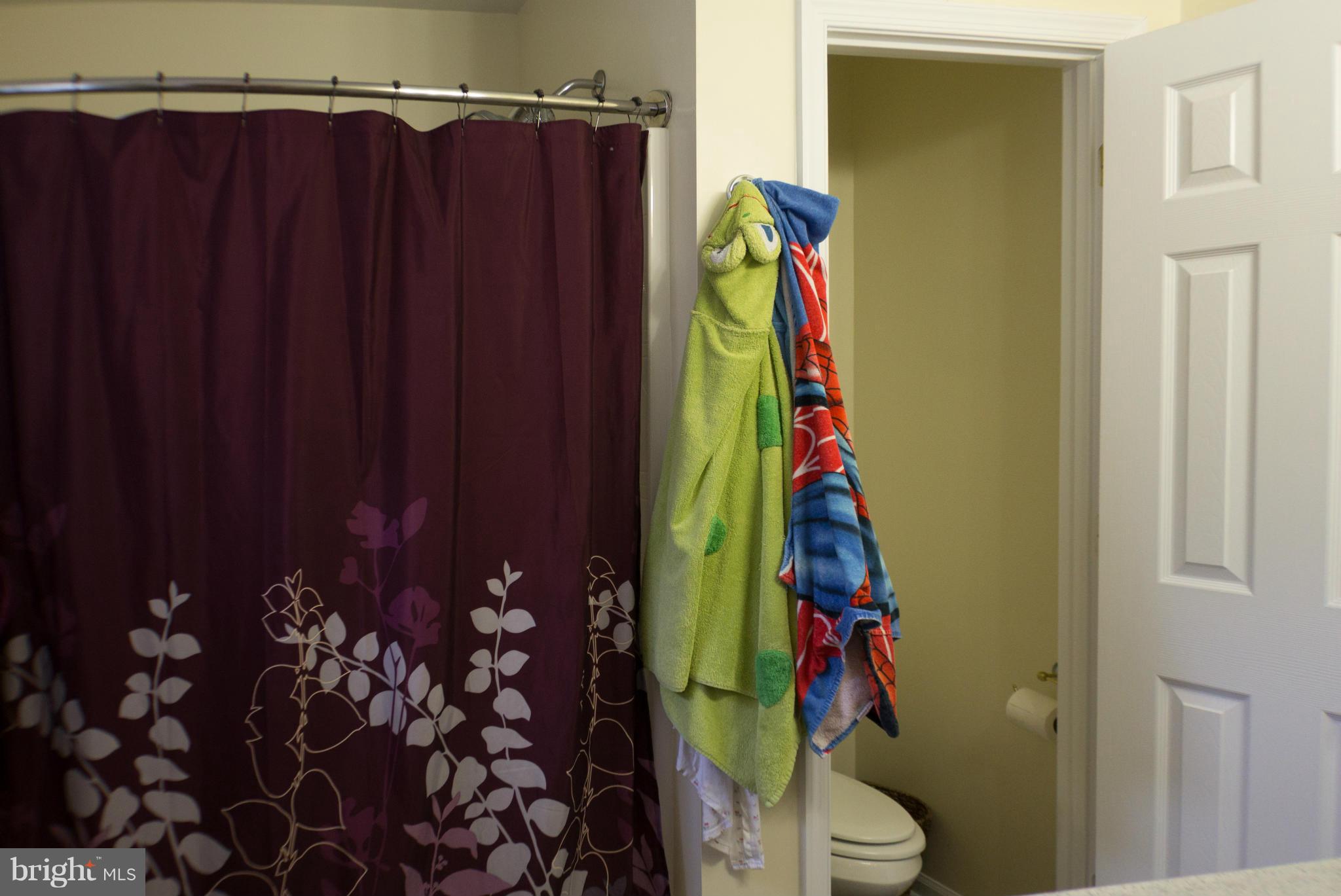3109 Papermill Road Winchester, VA 22601 - Photo 22 of 28 Bath (Master)
