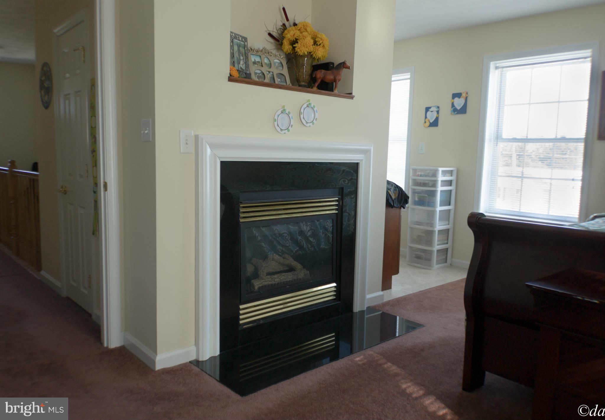 3109 Papermill Road Winchester, VA 22601 - Photo 26 of 28 Bedroom (Master)