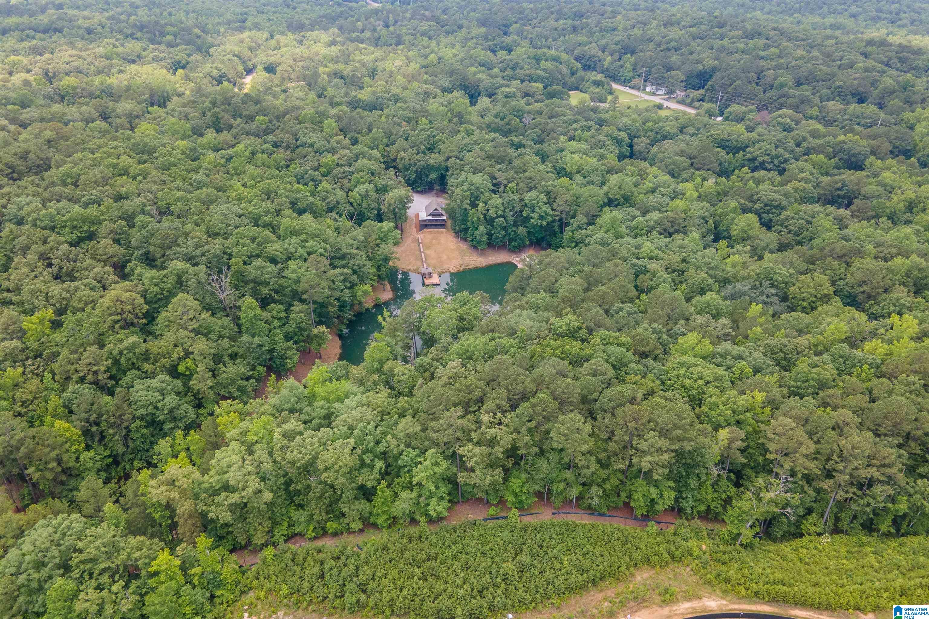 517 Hodgens Road Chelsea, AL 35043 - Photo 68 of 79