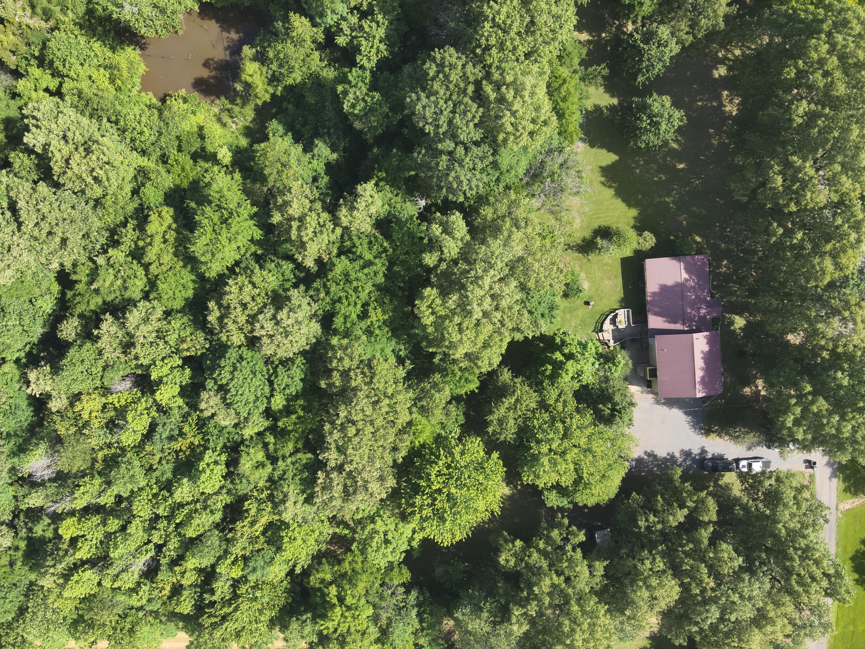 6765 Ivo Wurth Road Paducah, KY 42001 - Photo 16 of 44 Aerial View