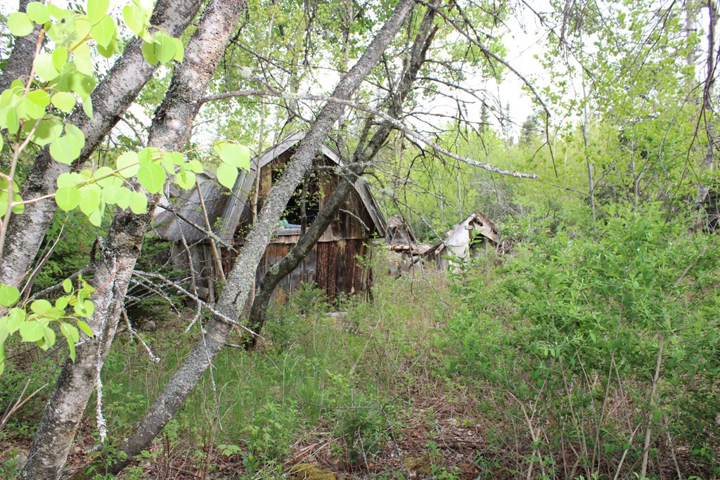 1686 Guide Board Road Schuyler Falls, NY 12985 - Photo 3 of 16 Gallery Image 3
