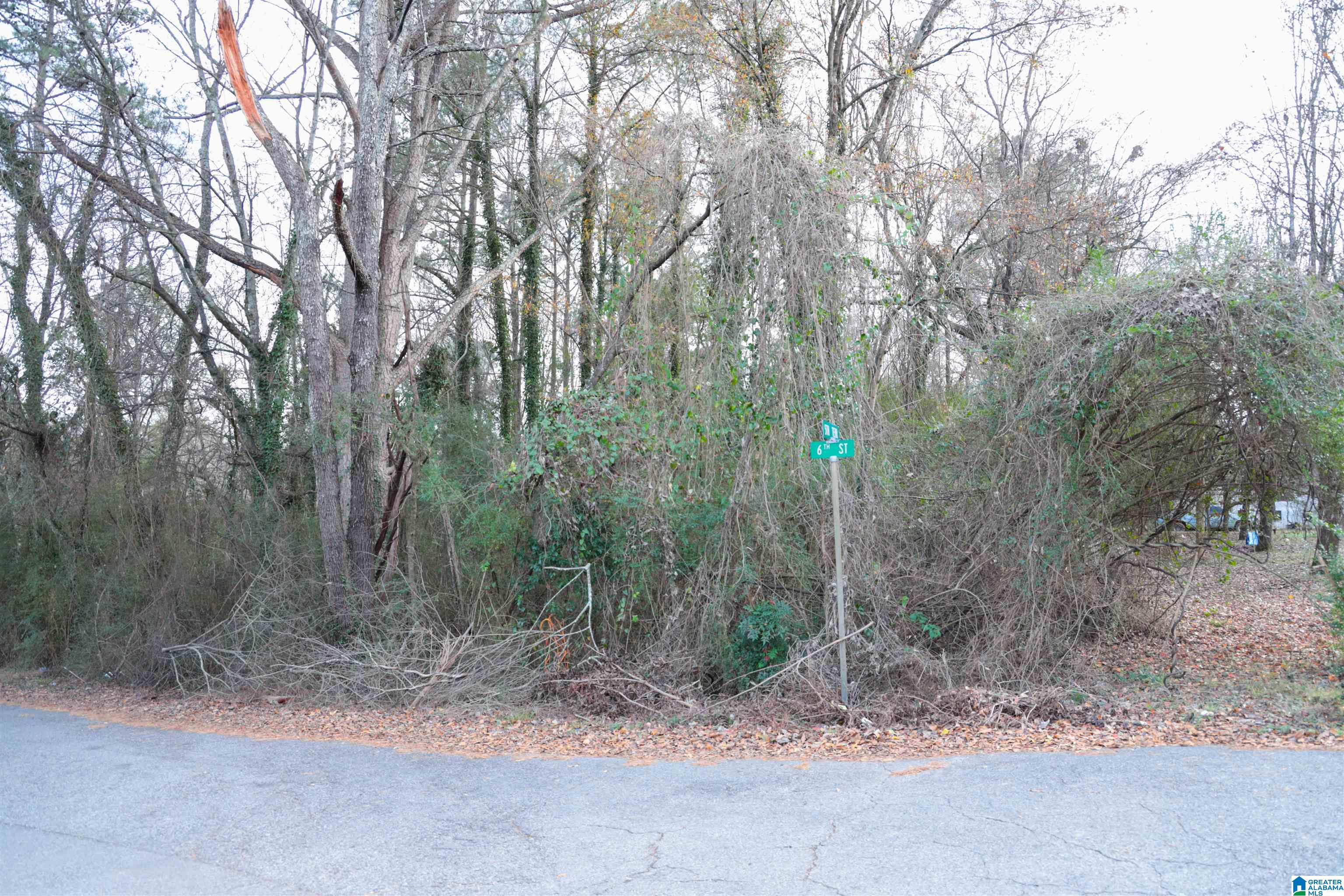 524 Park Road, Unit 3 41 ACRES Pleasant Grove, AL 35127 - Photo 19 of 25 Gallery Image 19
