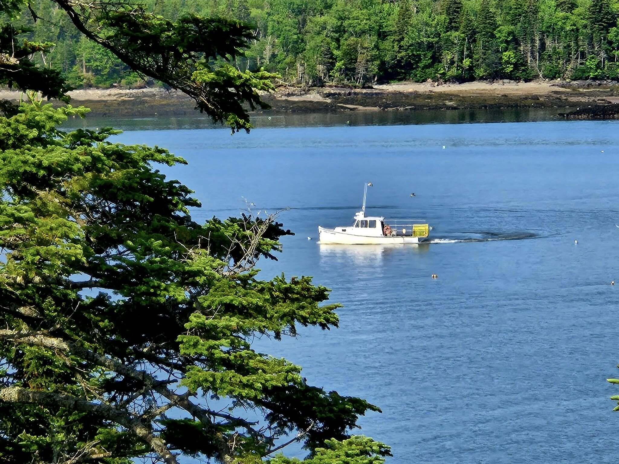 525 Yoho Head Road Machiasport, ME 04655 - Photo 82 of 128 lobster boat Hope Island in background