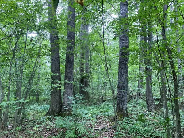 $24,900 | 0 Spile Bridge Road, Heuvelton, NY 13654